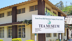 tea museum in munnar kerala