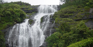 aimakadu water falls in Kerala