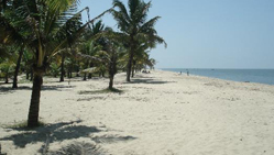 marari beach in alleppery kerala