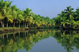 Alleppey