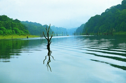 Thekkady