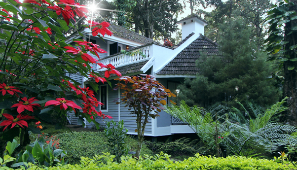 The Tall Tree Resort in Kerala