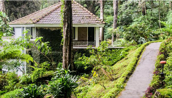 The Tall Tree Resort in Kerala