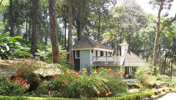 The Tall Tree Resort in Kerala