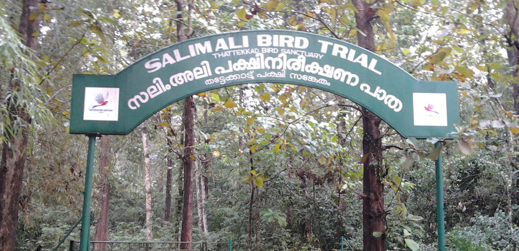bird sanctuary in Kerala