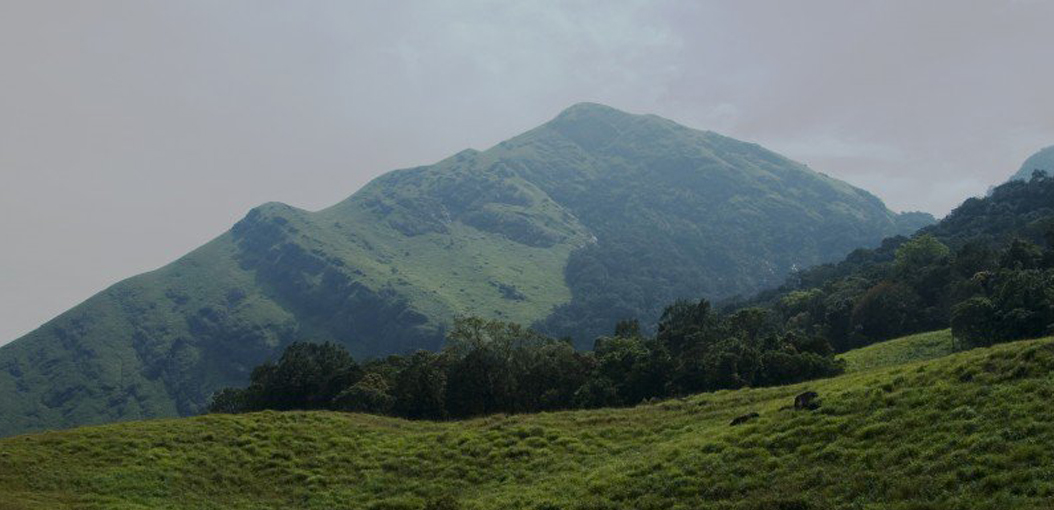 wayanad hill station in kerala