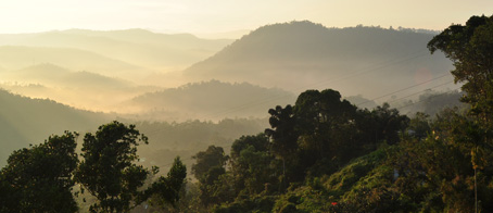 munnar-hill-station