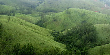 Vagamon