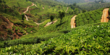 munnar hill station